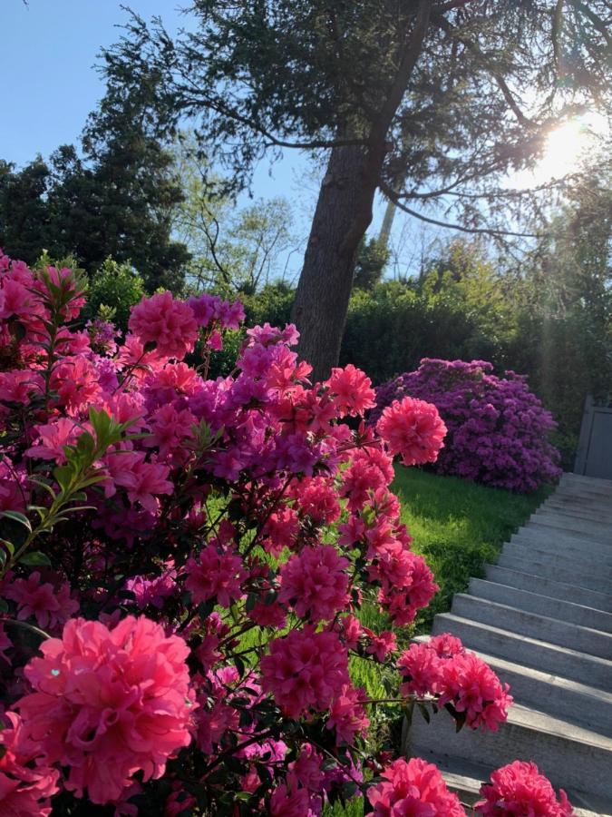 Giardini Magnolia Leilighet Belgirate Eksteriør bilde