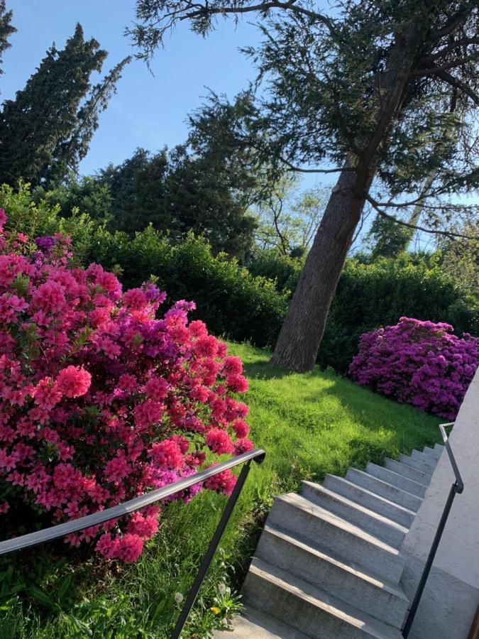 Giardini Magnolia Leilighet Belgirate Eksteriør bilde